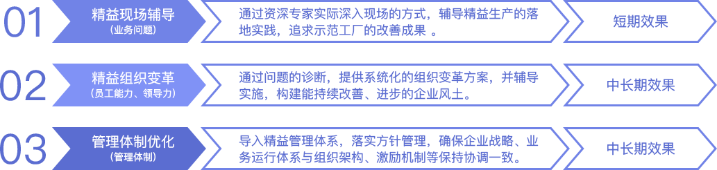 专家辅导